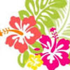 alohapam56